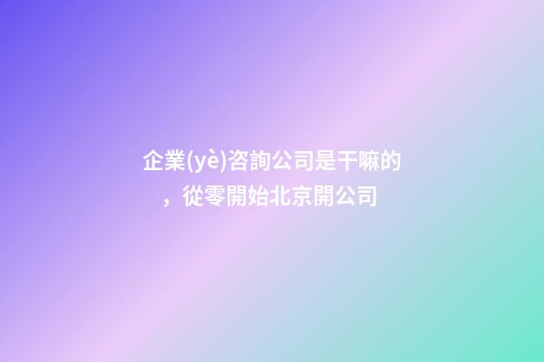 企業(yè)咨詢公司是干嘛的，從零開始北京開公司-第1張-觀點-玄機派